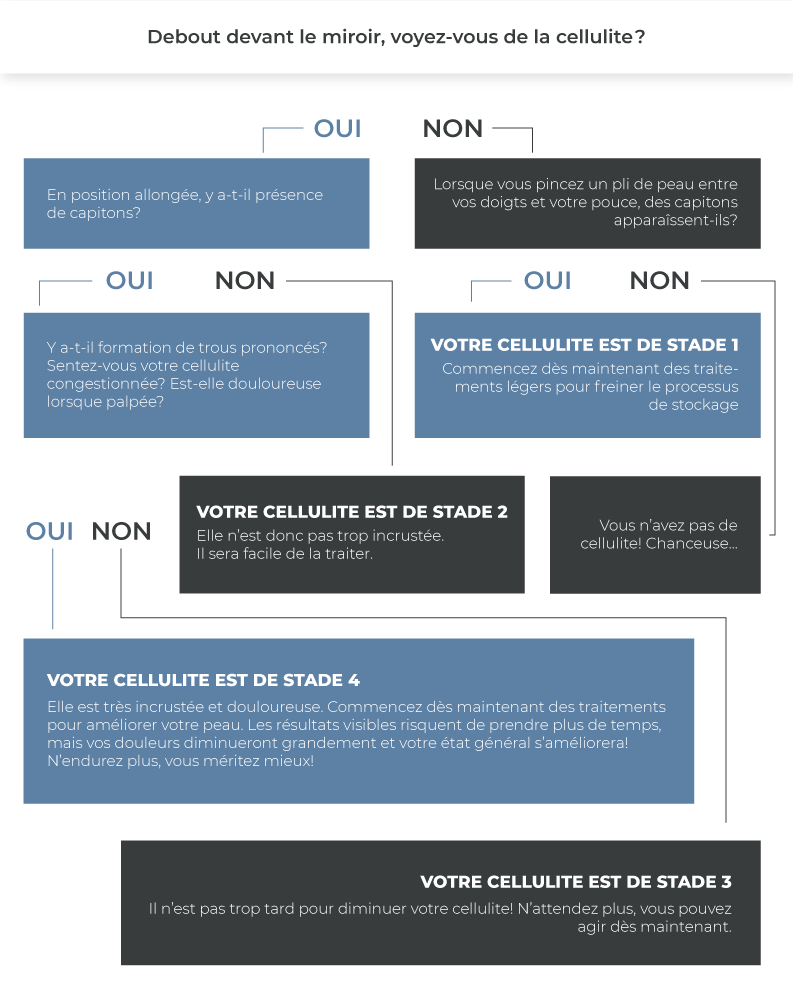 infographie cellulite infographie cellulite
